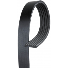 Belt, PV6 x 64.342