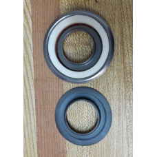 DUST SH, GM BEARING